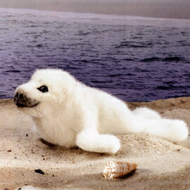 ケーセン Koesen ぬいぐるみ ワモンアザラシの赤ちゃん RINGED SEAL BABY