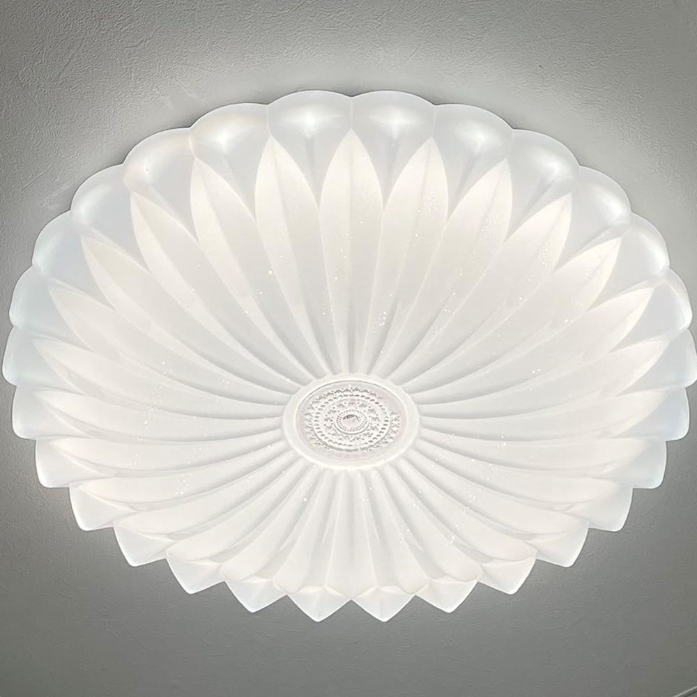 �ڴ��ָ���pt3�ܡ�1ǯ�ݾ� ������󥰥饤�� ��⥳���� LED Ĵ����Ĵ�������� PSEǧ�� ���ʥǥ����� ������� ���� ������� ������� �Ҷ����� ŷ�� ��ӥ� �����˥� Ĵ�� Ĵ�� �μ� �¼� 6�� 8�� 10�� 12�� �İ��� ���� ���� ���� ����̵��