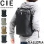 ڥȥ꡼&ŷɺ21ܡ Υ٥ƥ CIE å  ǥ  礭   åå  奢 ץ ֥ A4 B4 PC ̳ ̶ ѿ ɿ   VARIOUS ꥢ BACKPACK-01 021800