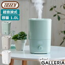 【最大34倍 4/30限定】【正規品6ヵ月保証】 トフィー 加湿器 卓上 スチーム式 おしゃれ Toffy オフィス アロマ 卓上加湿器 超音波式 アロマオイル 抗菌 贈り物 ギフト プレゼント LADONNA ラドンナ 抗菌アロマ加湿器＜1.0L＞ HF06