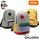 【3日間限定 最大37倍】 【日本正規品】 チャムス リュックサック レディース メンズ キッズ おしゃれ スウェット CHUMS デイパック 軽量 撥水 A4...