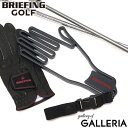 【最大28倍 7/15限定】【正規取扱店】 ブリーフィング ゴルフ グローブホルダー BRIEFING GOLF ゴルフアクセサリー グローブ 手袋 型崩れ防止...