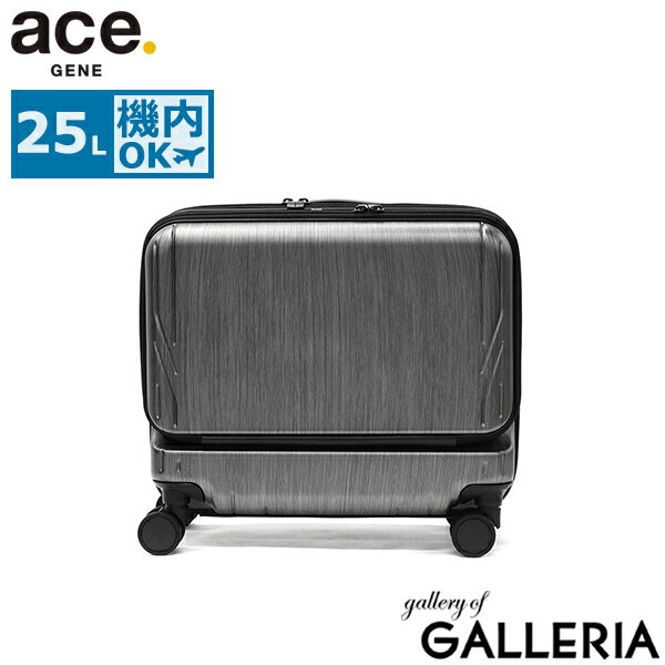 メンズ ACEGENE 黒 TSAロック付きキャリーケース