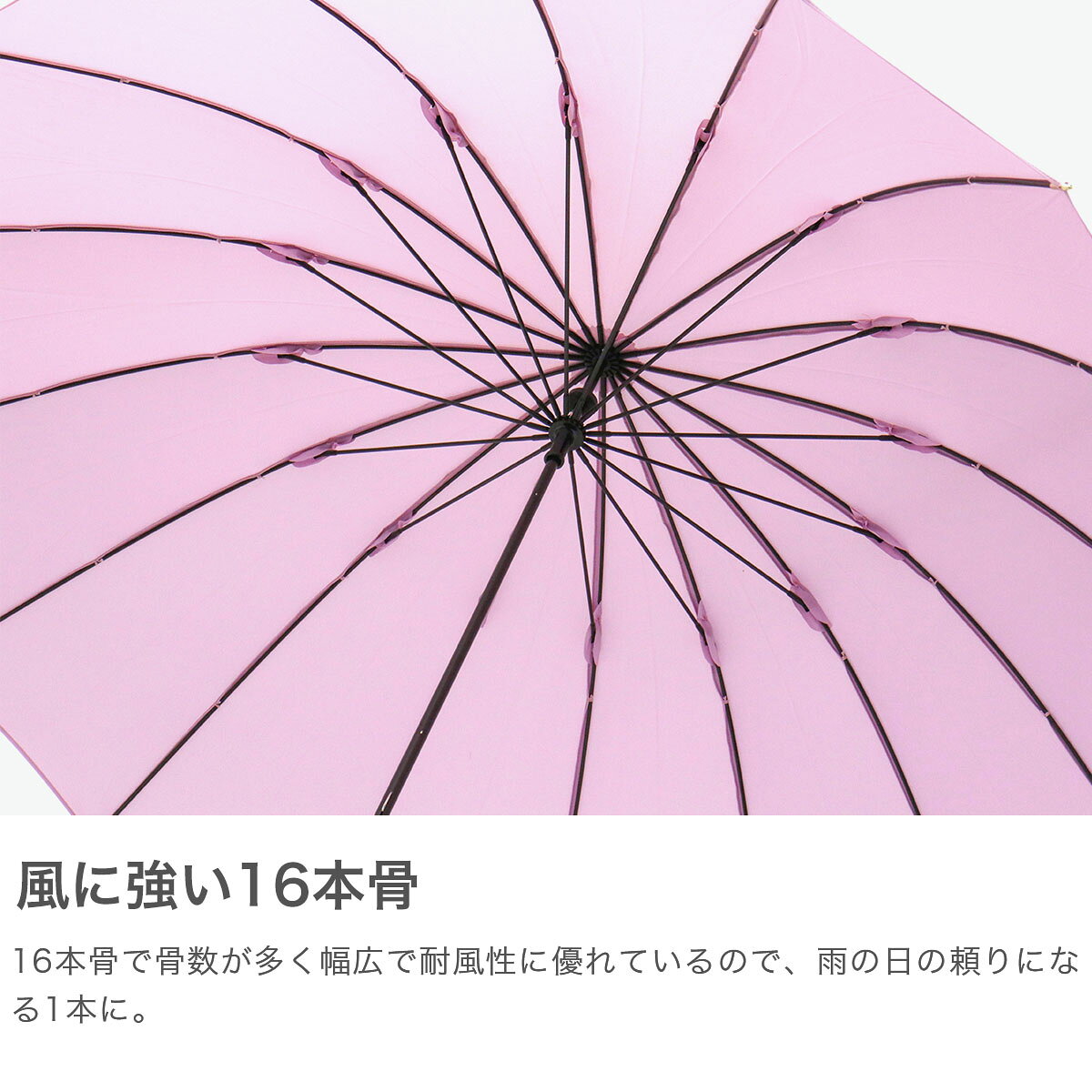 Wpc. 傘 レディース ダブリュピーシー 長傘 晴雨兼用 雨傘 日傘 16本 16本骨 軽い ...