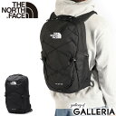 【日本正規品】 ザ・ノース・フェイス リュック メンズ レディース 大容量 通学 おしゃれ THE NORTH FACE バッグ カジュアル アウトドア 軽量 ノースフェイス 通勤 高校生 男子 女子 PC 15inch B4 26L ジェスター NM82462(4)