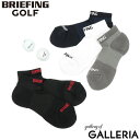 【3日間限定 最大28倍】 【メール便で送料無料】【日本正規品】 ブリーフィング ゴルフ ソックス BRIEFING GOLF 靴下 MENS CORDURA ...