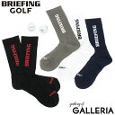 【最大35倍 26日2時迄】【メール便で送料無料】【日本正規品】 ブリーフィング ゴルフ ソックス BRIEFING GOLF 靴下 MENS CORDURA BASIC SOCKS コーデュラ くつ下 ゴルフソックス ブランド メンズ 男性 日本製 BRG213M04 cp_bg