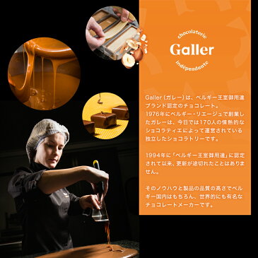 チョコレート ギフト ベルギー王室御達用 ガレー ミニバー24個入(送料込) 2021 御中元 お中元 スイーツ 夏 チョコ お菓子 詰め合わせ 内祝い 出産祝い 結婚祝い 退職祝い お返し 敬老の日 早割 クーポン セット 高級 誕生日 プレゼント