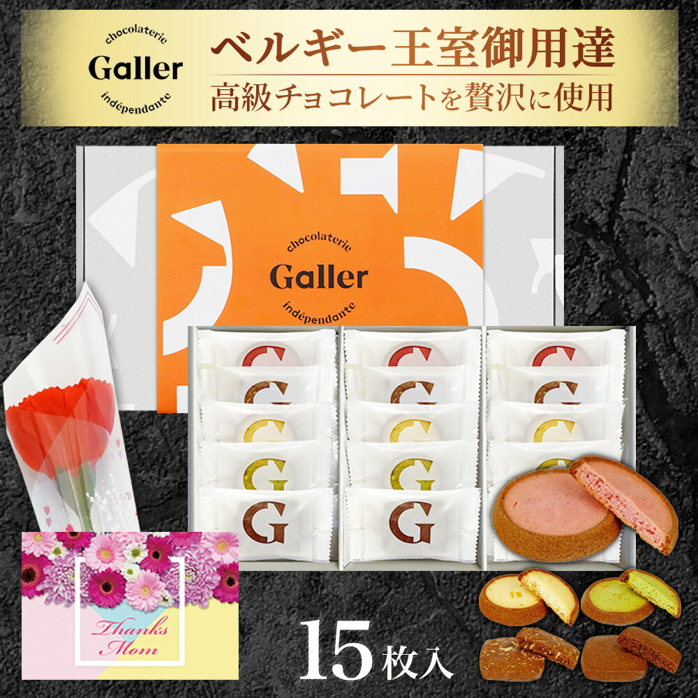 お菓子 ギフト ガレー チョコレート クッキー 15枚入 5