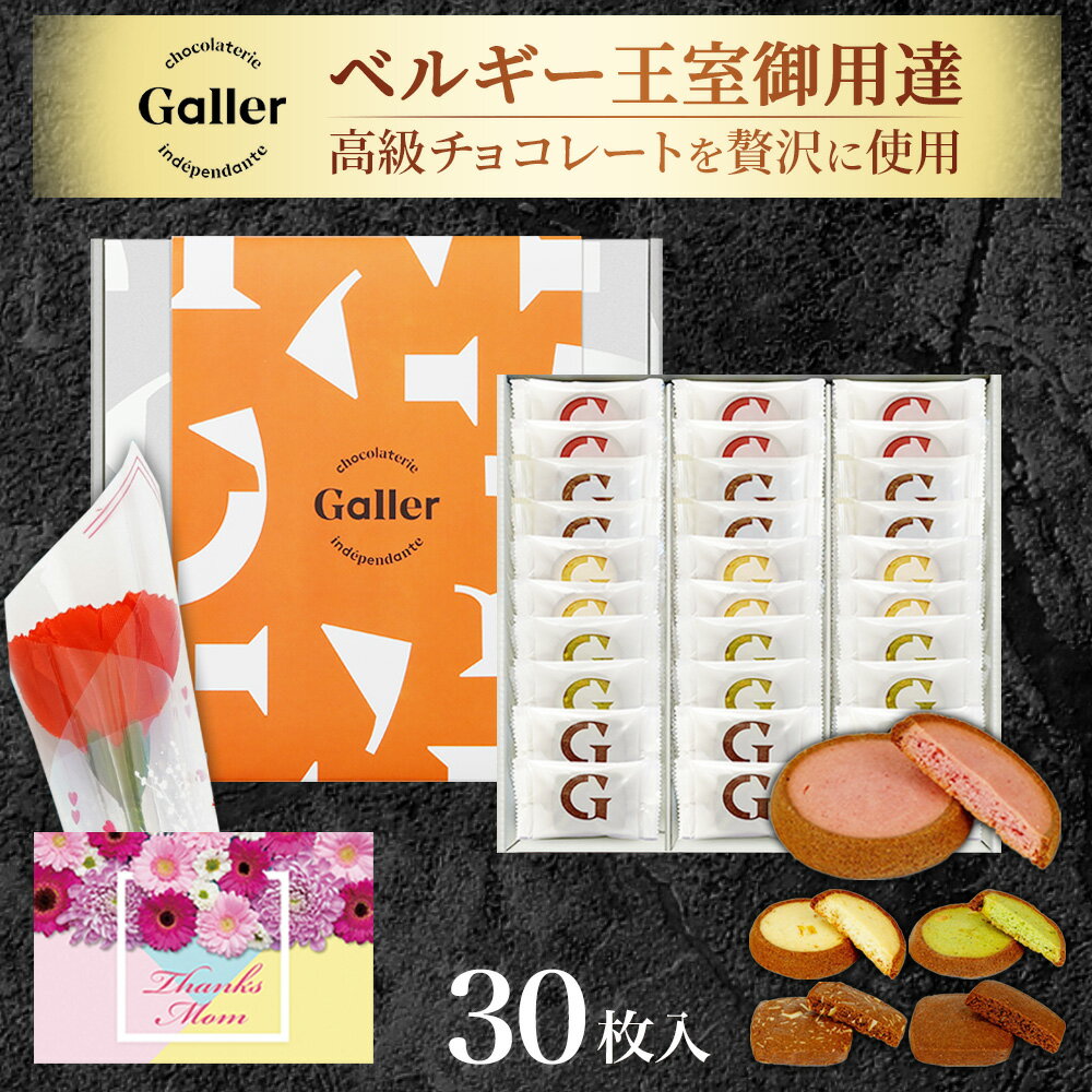 お菓子 ギフト ガレー チョコレート クッキー 30枚入 5