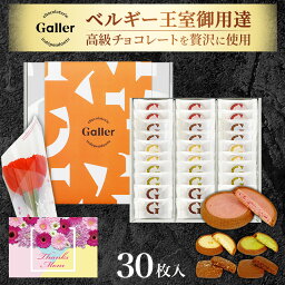 ガレー クッキー まだ間に合う 母の日 2024 ガレー チョコレート クッキー 30枚入 5種 詰め合わせ 送料無料 母の日 ギフト 花と お菓子 チョコ 人気 有名 おしゃれ 高級 個包装 小分け 会社 職場 常温 手土産 ははの日 プレゼント 花と スイーツ セット おかし 花 カーネーション 造花 早割