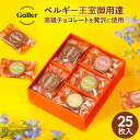 お菓子 ギフト ベルギー王室御用達 ガレー チョコ クッキー 25枚入 5種 詰め合わせ 送料無料 2024 母の日 プレゼント 早割 り スイーツ チョコレート 菓子 食べ物 焼き菓子 洋菓子 人気 有名 おしゃれ 高級 個包装 小分け 会社 職場 常温 出産 内祝い お返し 手土産