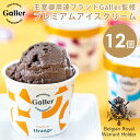アイス ギフト ガレー チョコレート プレミアム アイスクリーム 12個入り 4種 詰め合わせ 送料無料 2025 お中元 濃厚 チョコ お菓子 スイーツ セット 高級 有名 人気 おしゃれ おすすめ 結婚祝い 出産 内祝い お返し お礼 お詫び 挨拶 誕生日 プレゼント お供え 物 香典返し
