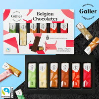 お年賀 ギフト チョコレート ガレー ミニバー6本入 2025 お歳暮 お菓子 高級 チョコ スイーツ 詰め合わせ 個包装 小分け 会社 職場 退職 挨拶 お礼 の品 結婚 内祝い お返し 同僚 従業員 上司 取引先 手土産 周年祝い 日持ち 人気 有名 おしゃれ 1000 円 誕生日 プレゼント