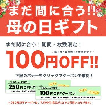 【100円OFF】まだ間に合う 母の日 ベルギー王室御用達 チョコレート ガレー ミニバー24個入 ＆ カーネーション (造花) ＆ メッセージカード 2021 スイーツ ギフト 花 セット プレゼント 高級 ギフト お菓子 詰め合わせ 母の日ギフト 花とスイーツ 早割 クーポン