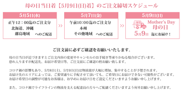 【100円OFF】まだ間に合う 母の日 ベルギー王室御用達 チョコレート ガレー ミニバー24個入 ＆ カーネーション (造花) ＆ メッセージカード 2021 スイーツ ギフト 花 セット プレゼント 高級 ギフト お菓子 詰め合わせ 母の日ギフト 花とスイーツ 早割 クーポン