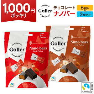 1000円ポッキリ お試し ギフト チョコレート ベルギー王室御用達 ガレー ナノバー6個入×2袋 送料無料 2022 プチギフト お菓子 結婚式 二次会 2次会 子供会 施設 職場 会社 社内 退職 おまけ 粗品 景品 スイーツ 高級 チョコ 個包装 小分け プレゼント 1,000円