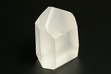 メタモルフォーゼス フリーカット