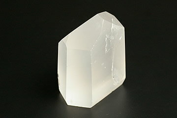 メタモルフォーゼス フリーカット