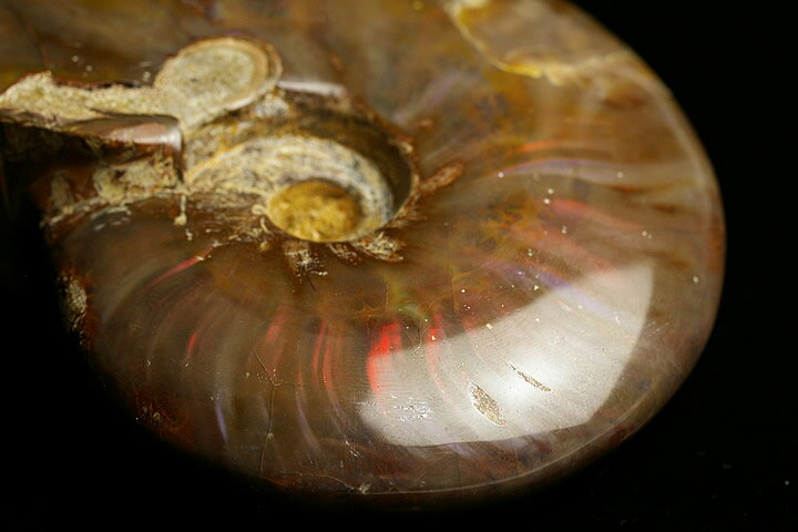 ���ѡ��벽�����ʥ��ȡ��ޥ��������뻺