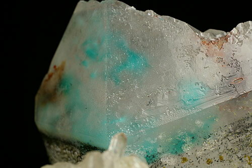 ��ʪ�ۥ��饹��Ķ���硪���ۥ����ȥ��󥯥����Ĵ��̽��ա���եꥫ����å����ʻ�