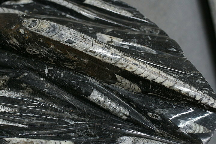 ľ���С�����å���