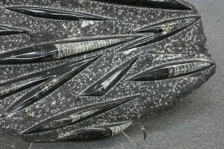 ľ���С�����å���