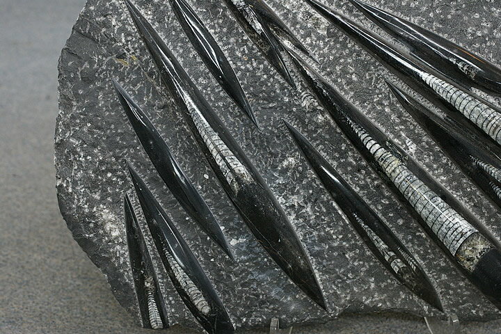 ľ���С�����å���