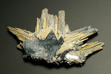 ペンタグラム アルター タイル （真鍮：大）　　※ 魔術用品 儀式用品 おまじないグッズ 占いなど 【クーポン対象】【39ショップ】