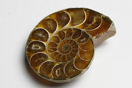 �����ʥ��ȥڥ����ޥ��������뻺