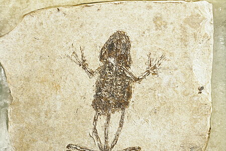 ���𥫥��벽��