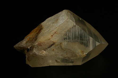 大きい太い！レムリアンシード