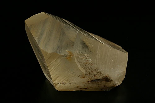 大きい太い！レムリアンシード