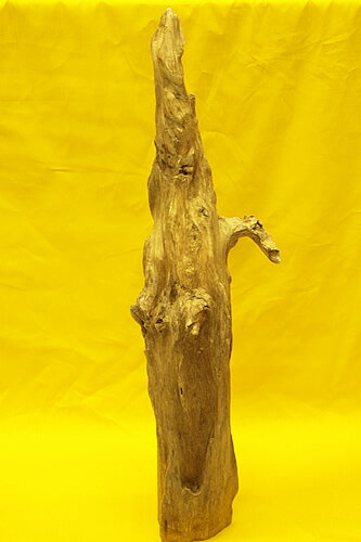 博物館クラス！特大！沈香原木　小山　インドネシア産