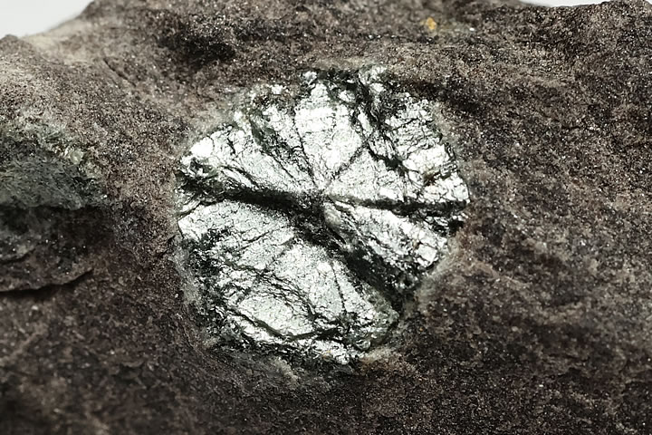 3.7×3.0×2.5cm(全体)　結晶最大幅：約8mm　 菫青石の双晶が雲母化した石です。 ややグリーン味を帯びたシルバー光沢の桜石です。 柱状で産出されますが、どこを折っても桜のような花弁模様が出ます。 京都府亀岡市湯の花産　