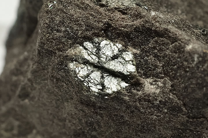 2.4×1.8×1.4cm(全体)　結晶最大幅：約4mm　 菫青石の双晶が雲母化した石です。 ややグリーン味を帯びたシルバー光沢の桜石です。 柱状で産出されますが、どこを折っても桜のような花弁模様が出ます。 京都府亀岡市湯の花産　