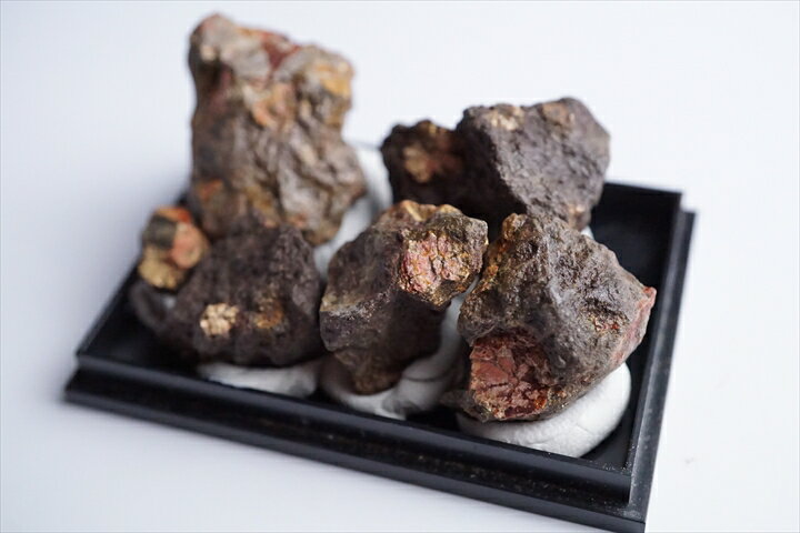 桜石 母岩付き 京都府亀岡市産 天然記念物指定