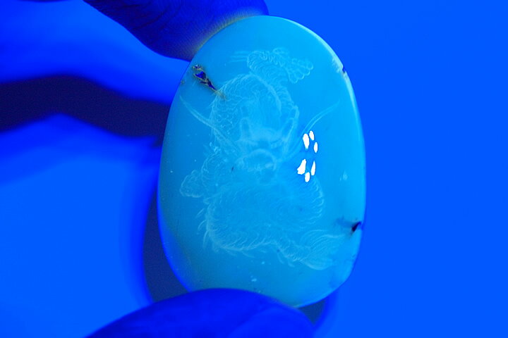 ドミニカ産　ブルーアンバー龍彫刻