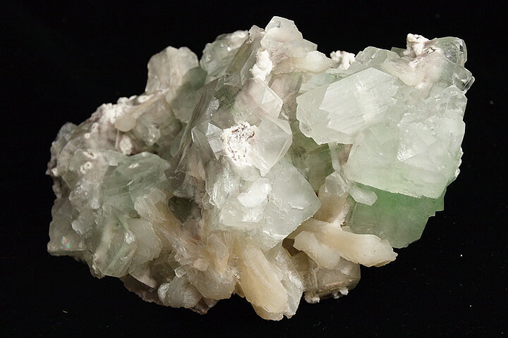 アポフィライトクラスター(魚岩石)　プレミアムグレード