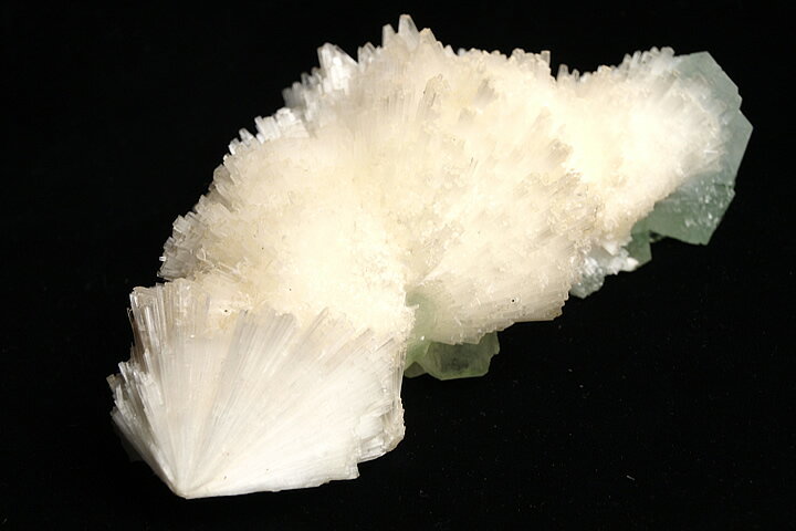 アポフィライトクラスター(魚岩石)　プレミアムグレード