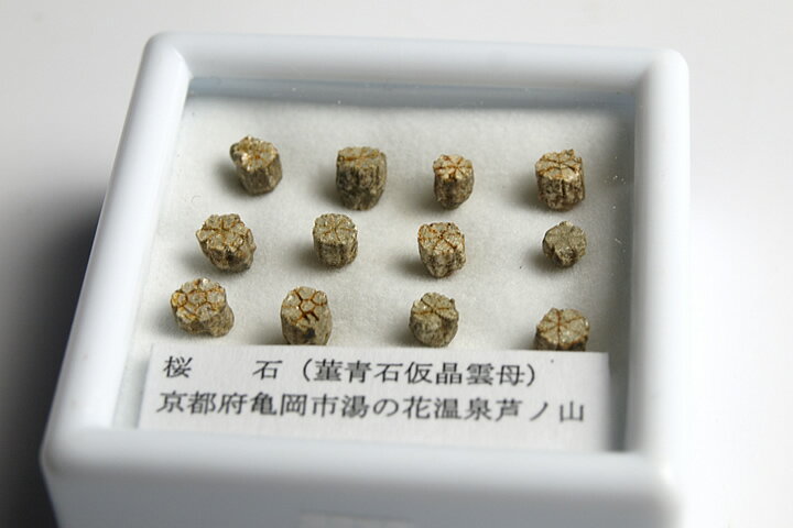 タロットクロス 占い 神秘的 ぬい撮り 小物 撮影背景 タペストリー 魔法陣 おしゃれ 祭壇 正方形 グッズ アクセサリー tarot 青 紫 黒 月 星 夜空 夢 魔法