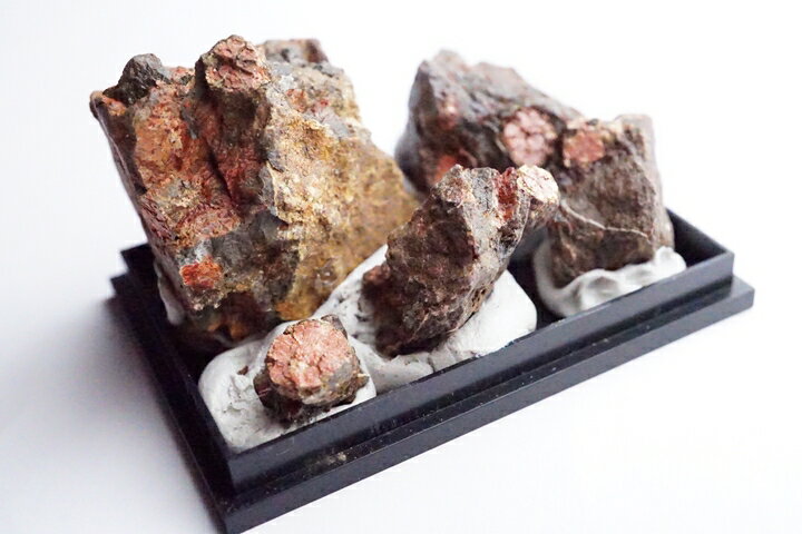 桜石 母岩付き 京都府亀岡市産　天然記念物指定