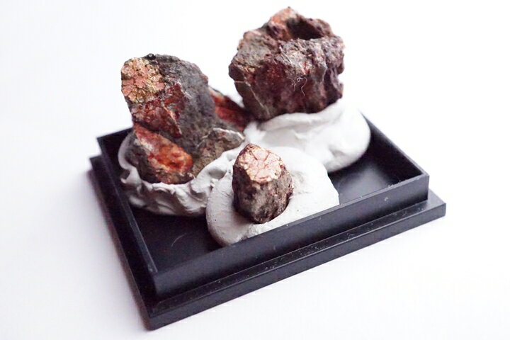 桜石 母岩付き 京都府亀岡市産　天然記念物指定