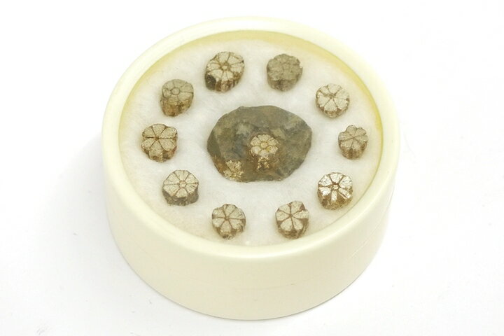 桜石 京都府亀岡市産　天然記念物指定