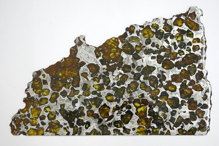 博物館クラス!特大サイズ　エスケル(Esquel)隕石　アルゼンチン産　25.5×16.5×0.2cm 380.8g