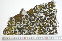 博物館クラス!特大サイズ　エスケル(Esquel)隕石　アルゼンチン産　25.5×16.5×0.2cm 380.8g
