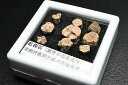 紅桜石 ケース入り 京都府亀岡市産 天然記念物指定