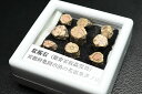紅桜石 ケース入り 京都府亀岡市産 天然記念物指定