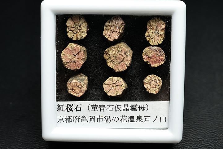 紅桜石 ケース入り 京都府亀岡市産 天然記念物指定