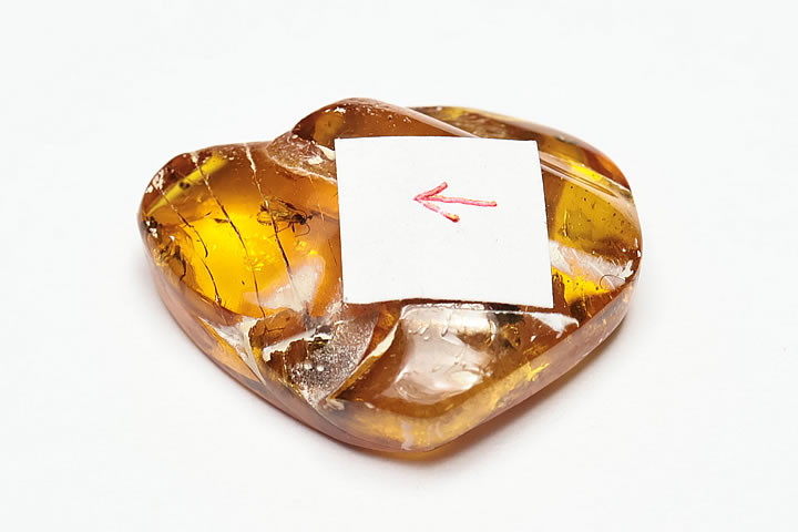 虫入り琥珀(コハク)ドミニカ産